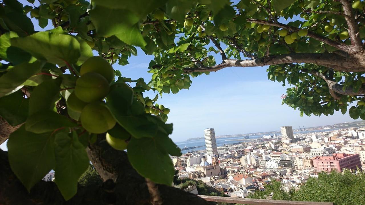 Cerca Playa-Aa-Patio Privado Daire Alicante Dış mekan fotoğraf